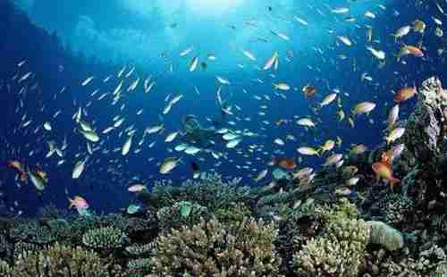 普吉岛穷游攻略