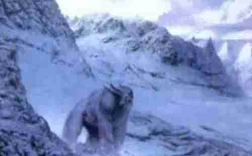 西藏秘密有哪些