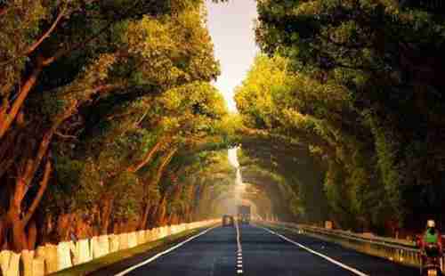 浙江最美公路在哪里+沿途景點介紹