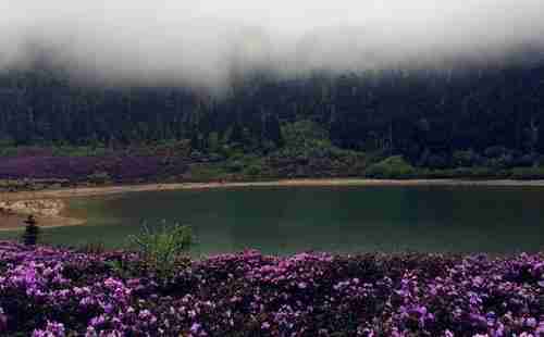 尼汝村旅游攻略