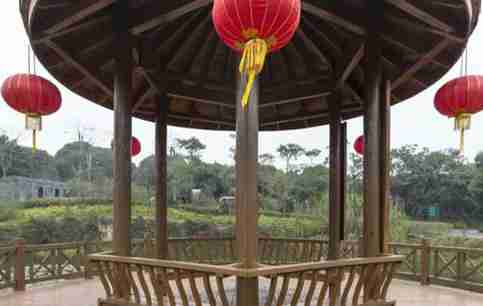 漳州荔枝海公園在哪里 有什么好玩的