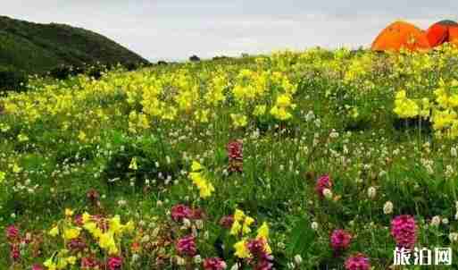 四川6月旅游的地方有哪些 旅游景点介绍