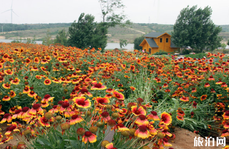 2018煙臺賞花攻略時間+地點+交通