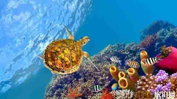 廣西小眾旅游景點推薦 小眾旅游景點介紹