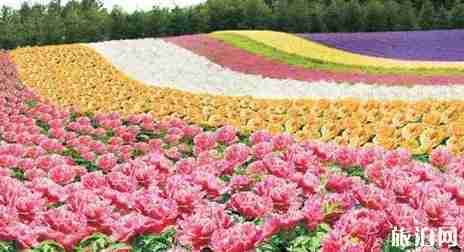 廣東一家人旅游去哪里 適合一家人旅游的景點介紹