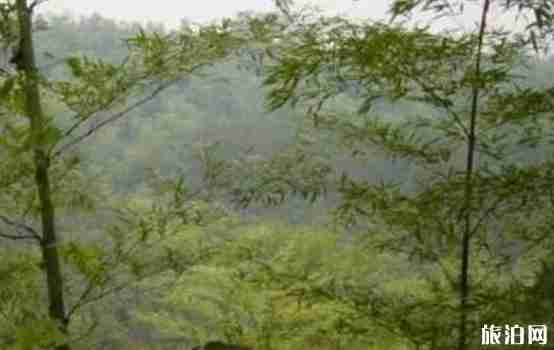 江蘇儀征屬于哪個市 江蘇儀征旅游景點介紹