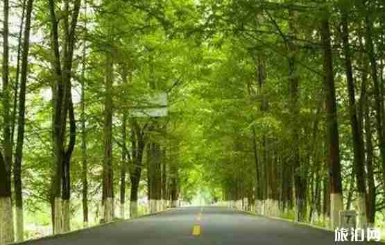 一家人自駕游去哪里 適合帶家人自駕的鄉村公路推薦