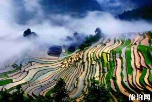 高要梯田怎么样 高要梯田景点介绍