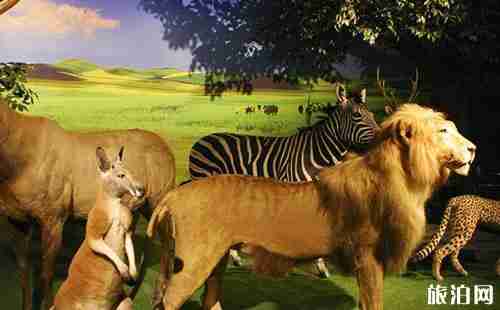 武汉科技馆新馆开放时间+领票时间+参观信息