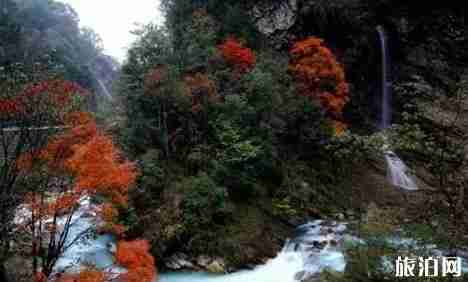 雅安避暑地方推薦2018