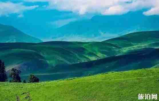 新疆草原有哪幾大草原 新疆草原圖片