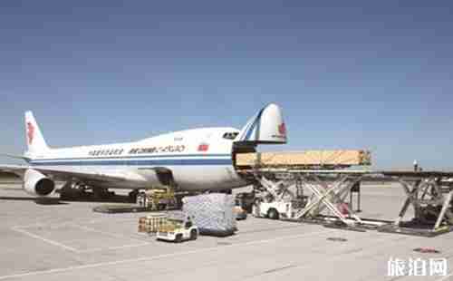 動物如何辦理飛機托運