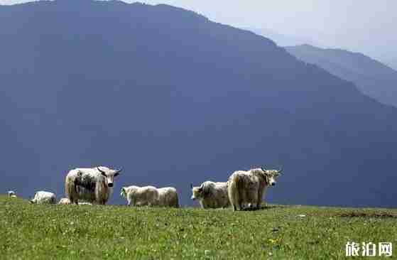 山西境內(nèi)自駕游路線推薦