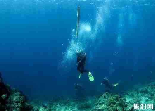 浮潛去哪里 浮潛勝地推薦世界篇