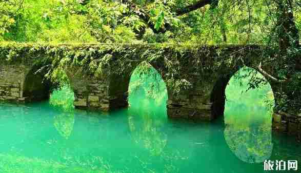 暑假去貴州好玩嗎 暑假去貴州旅游景點介紹