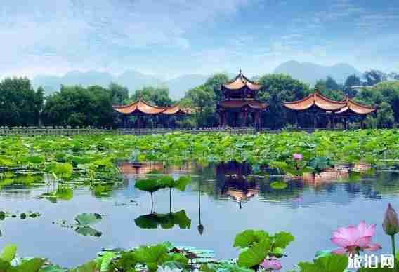 貴州花海圖片 貴州看花的地方介紹