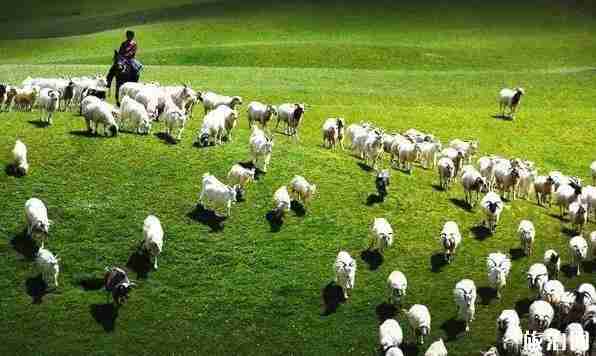 都蘭縣海拔多少米 都蘭旅游景點介紹