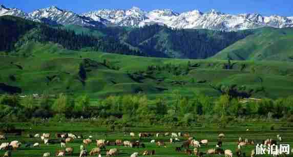 新疆南疆和北疆哪個(gè)好玩