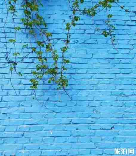 喀贊其民俗旅游區圖片 喀贊其民俗旅游區景點介紹