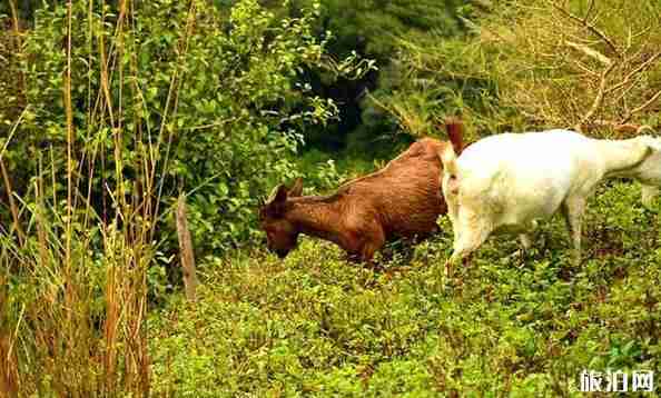 广州徒步线路推荐