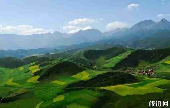 八月去青海玩合适吗 八月去青海旅游景点介绍