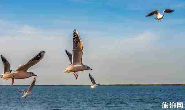 西北旅游路线推荐2018