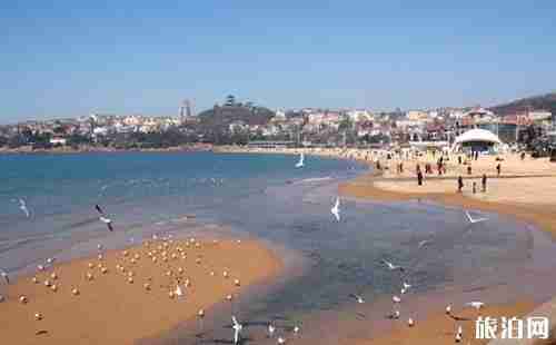 青岛第一海水浴场2018开放时间 青岛第一海水浴场要门票吗