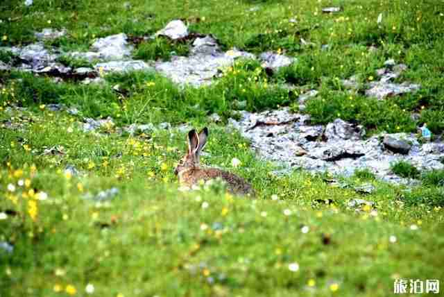 七月去四川好玩吗 七月去四川旅游景点介绍