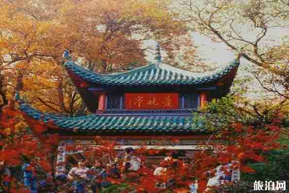 长沙夜景哪里好看 长沙最适合看夜景的地方推荐