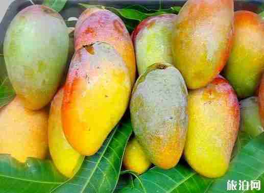 云南临沧特产有什么 临沧特产介绍