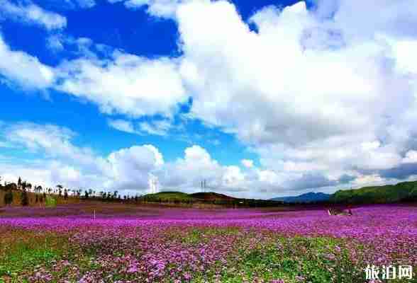 贵州草原有哪些 贵州草原介绍