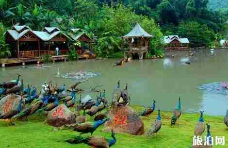 景洪在云南哪里 景洪有什么好玩的