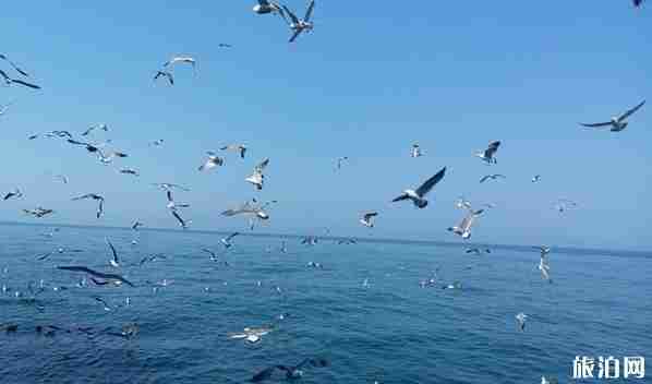 适合8月份短期旅游的城市2018