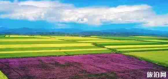 新疆避暑胜地推荐2018