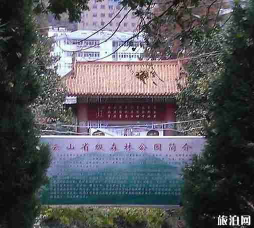 甘肃陇南康县旅游景点介绍