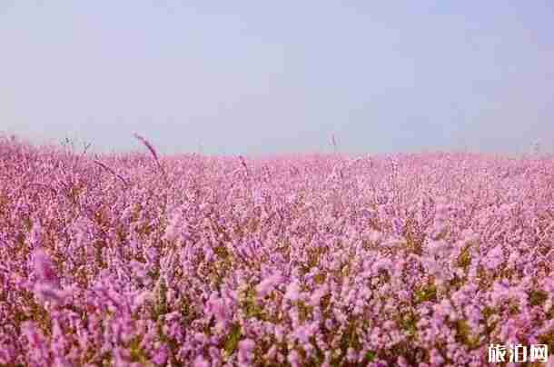 南昌环湖动车最新消息 南昌环湖动车沿线景点介绍