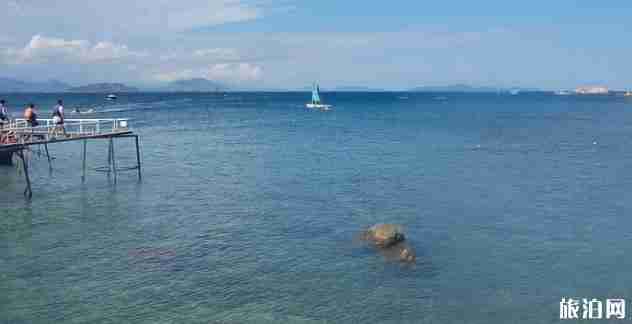 到鼓浪屿的轮渡在哪里坐+怎么购票