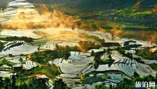 最美梯田在哪 最美梯田圖片 最美梯田介紹