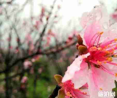 福建三明旅游推荐