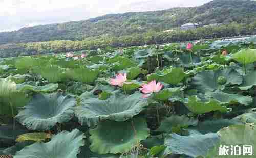 杭州和泉州哪个城市比较好玩