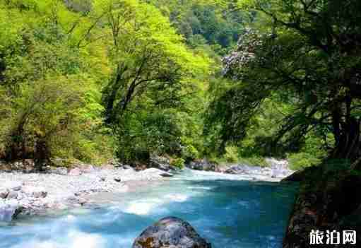 雅安寶康路 川西自駕游新通路線