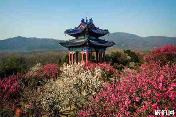 杭州超山梅花餐飲住宿信息