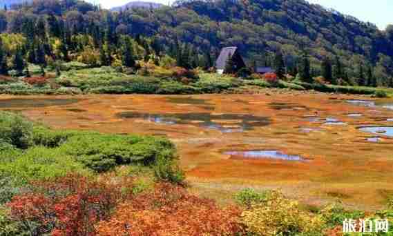 9月日本旅游攻略