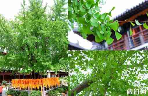 上海真如古鎮(zhèn)有什么好玩的 上海真如古鎮(zhèn)景點(diǎn)介紹