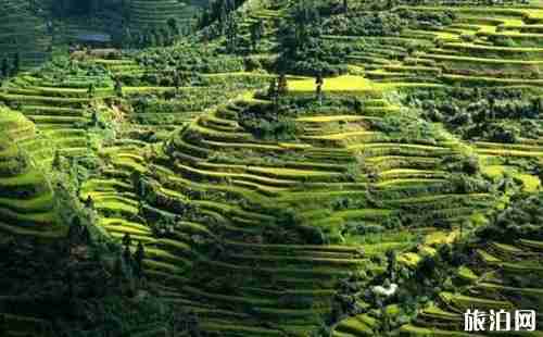 湖南6天自駕游旅游路線推薦