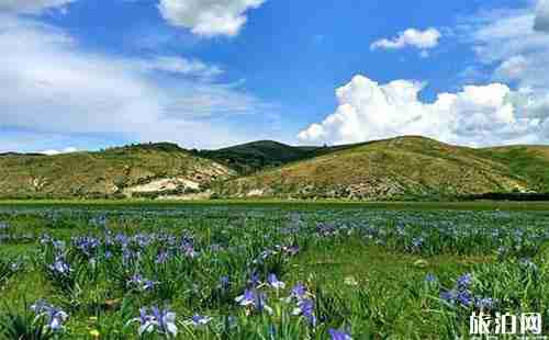 天津到北極村自駕游 景點(diǎn)+線路推薦