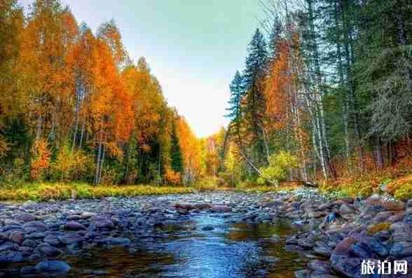 2018喀納斯景區門票降價啦