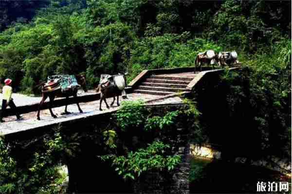 宜昌柴埠溪大峽谷住宿推薦