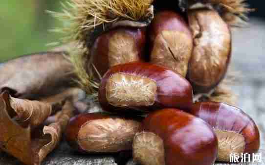 佛坪縣屬于哪個市 佛坪縣旅游景點(diǎn)介紹