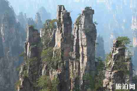 张家界住宿哪里方便 张家界旅游住宿攻略